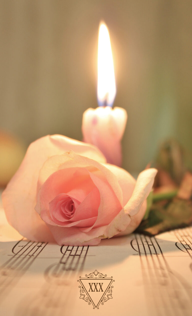 Vela y Rosa