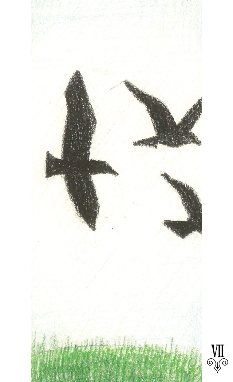 VII