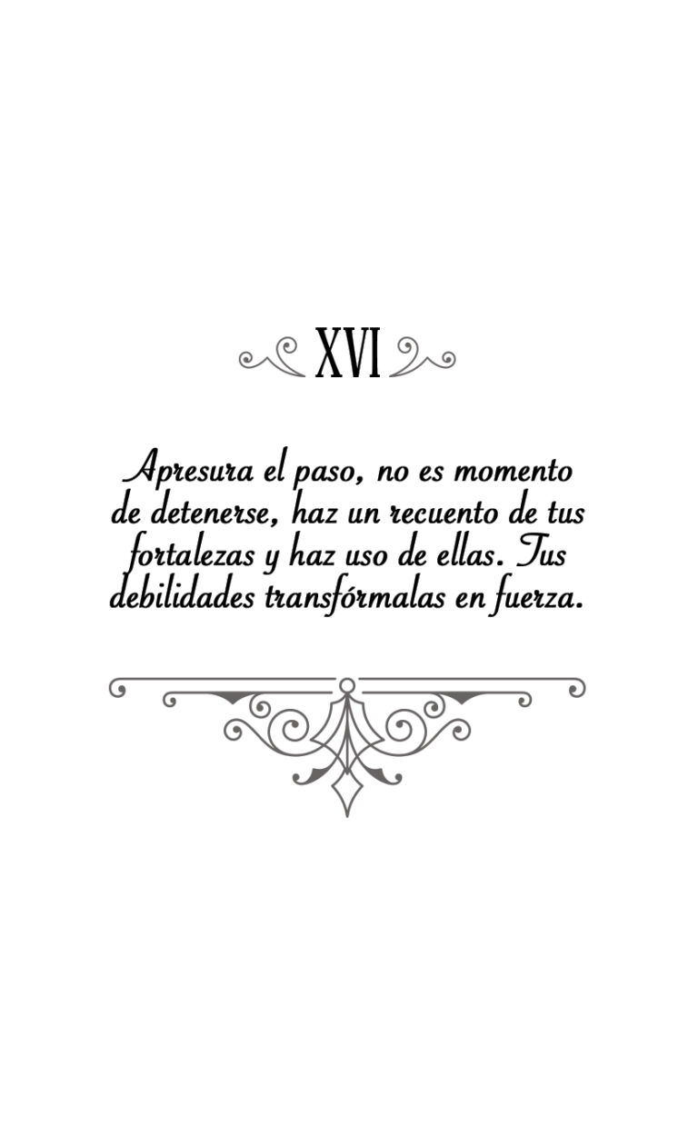 XVI