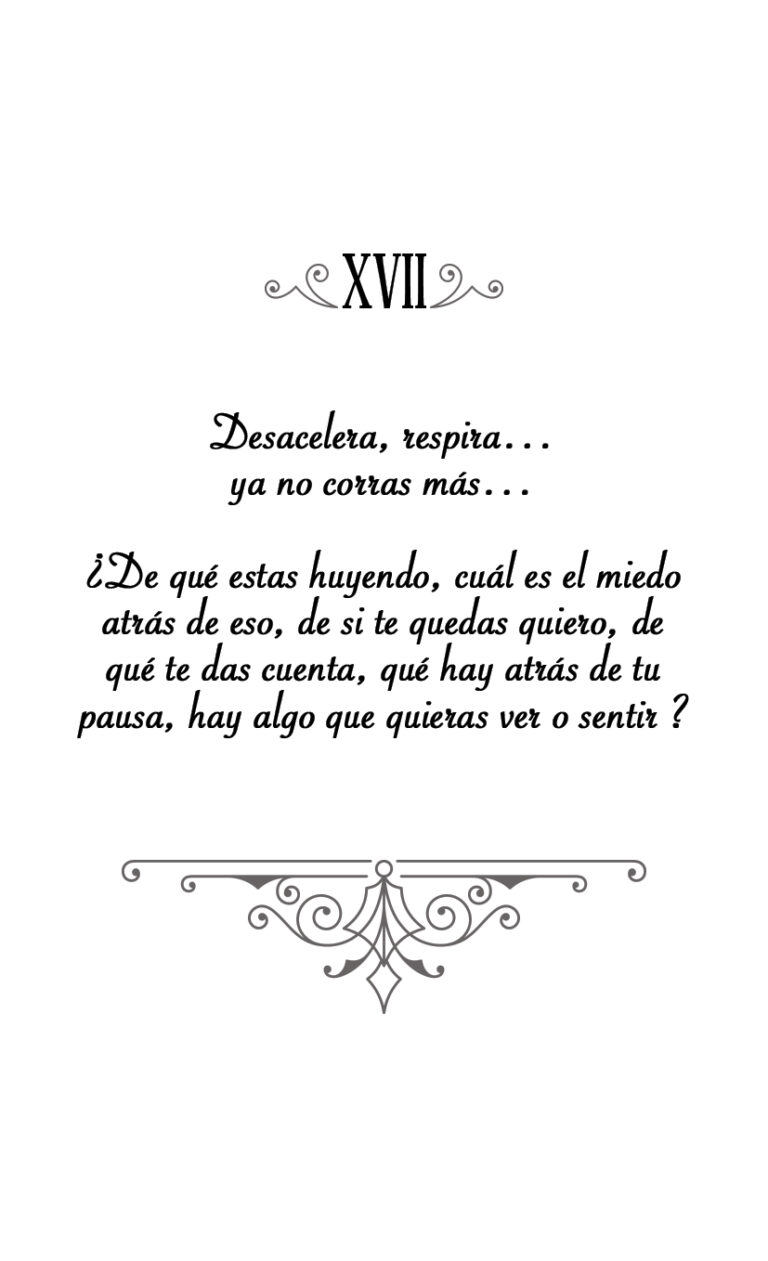 XVII