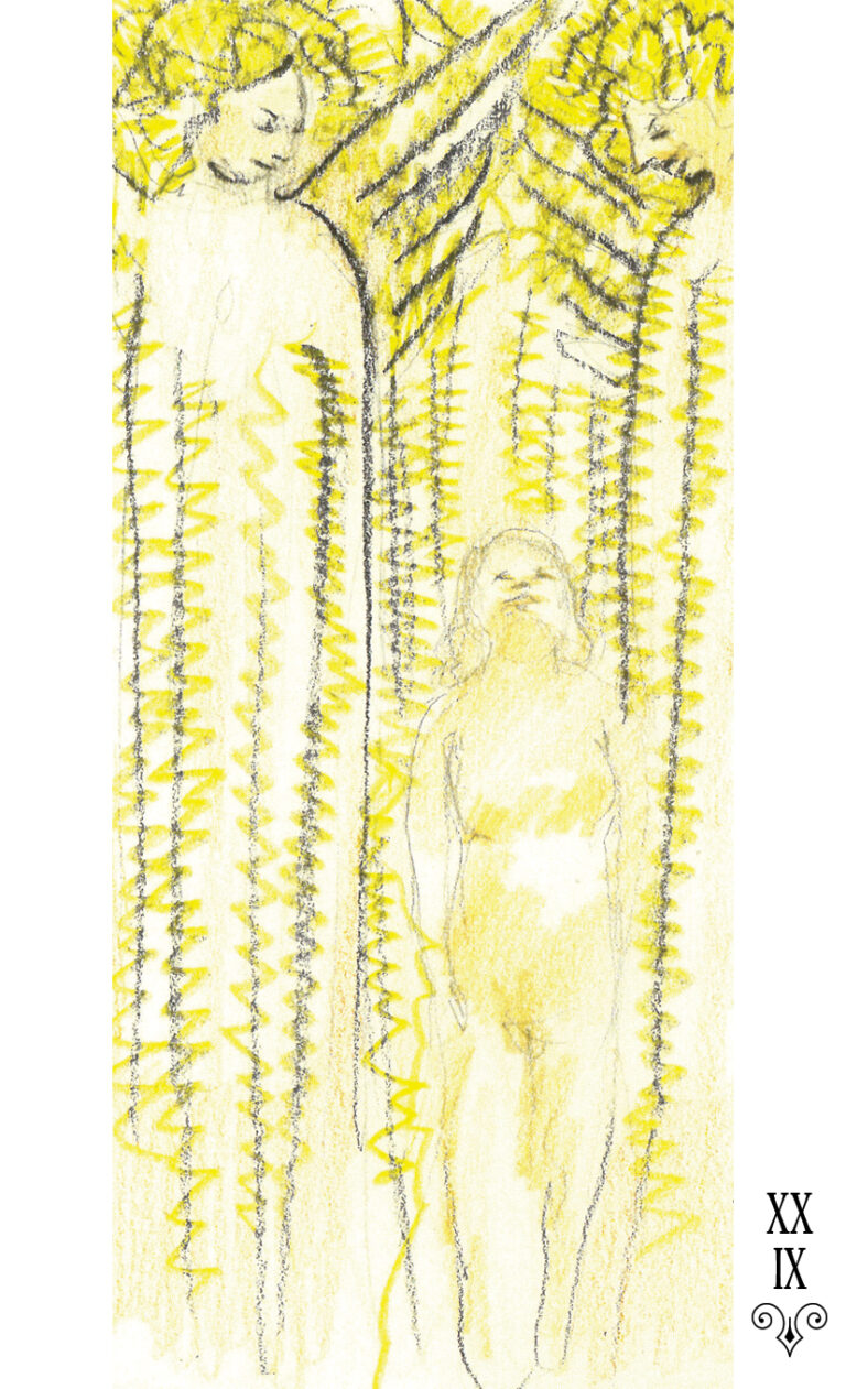 XXIX